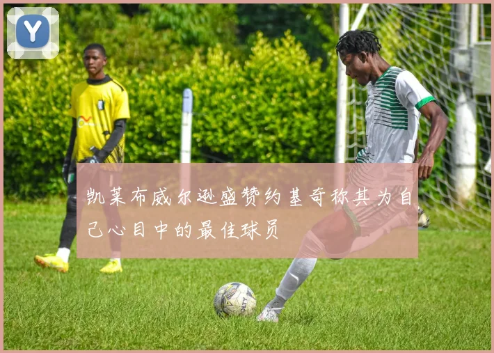 凯莱布威尔逊盛赞约基奇称其为自己心目中的最佳球员