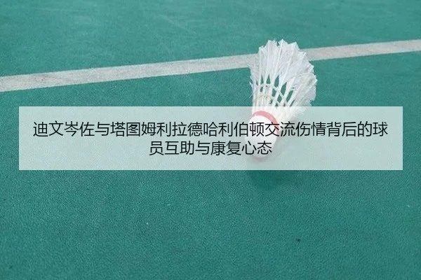 迪文岑佐与塔图姆利拉德哈利伯顿交流伤情背后的球员互助与康复心态 | hth